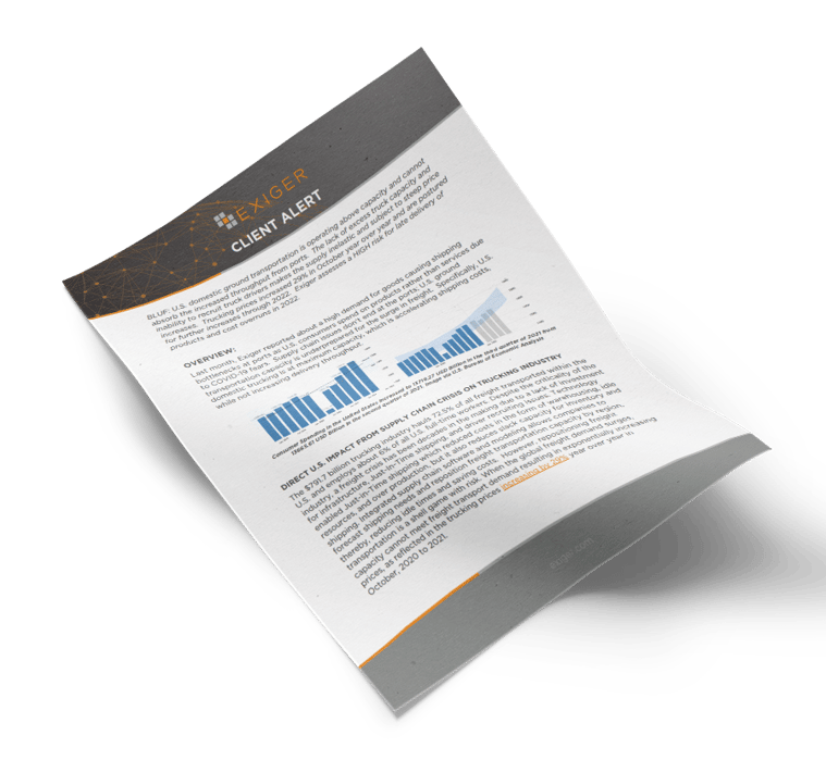 Client Alert Document Mockup